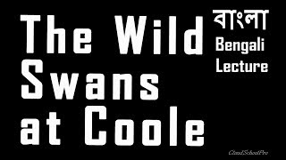 The Wild Swans at Coole by W B Yeats  বাংলা লেকচার  Bengali Lecture [upl. by Aletse]