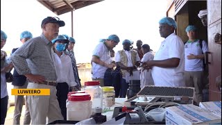 Sasakawa Founder Yohei visits Uganda  Association to venture into wheat growing in karamoja [upl. by Enelram424]