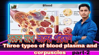 রক্তের মধ্যে জলের পরিমাণthree type of blood plasma and corpuscles [upl. by Nikolai210]