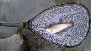 Fly Fishing on the Tuckasegee River Located on the WNC Fly Fishing Trail [upl. by Ytirahs851]