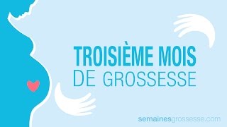 Troisième mois de grossesse  Mois 3 de grossesse  La grossesse mois par mois [upl. by Lanae]