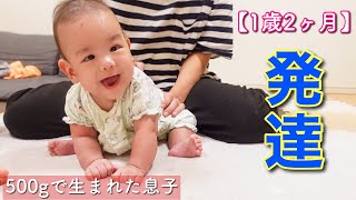 【発達ゆっくり？】500gで生まれた息子の成長／溺愛がとまらないダウン症3歳姉 [upl. by Anella]