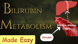 Bilirubin metabolism MADE SIMPLE [upl. by Ailero]