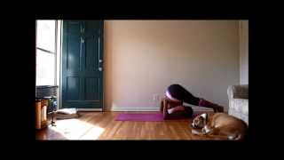 Dear Jessamyn Plow Pose Halasana [upl. by Fanning]