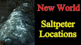 New World Saltpeter best locations  How to find Salt Peter and Easy Farming Spot [upl. by Noloc]