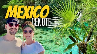 CENOTE Garden of Eden  Naturwunder in MEXIKO amp Unser Mexiko Fazit [upl. by Brenden]