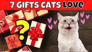 7 Gift Ideas Your Cat Will Absolutely Love [upl. by Tansey458]