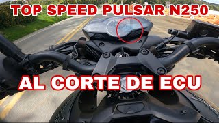 PULSAR N250 TOP SPEED  AL CORTE [upl. by Delphine766]