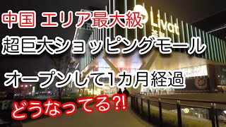 中国超巨大ショッピングモール、オープン1カ月後の現状 上海市长宁区上海荟聚 Livat 2024年11月15日撮影 [upl. by Anjanette135]