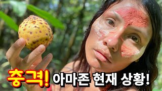 아마존이 변해버린 충격적인 이유시청 필수 다큐멘터리 아마존EP4 다큐멘터리 documentary amazonjungle [upl. by Deden]