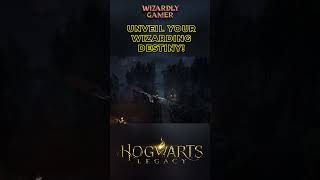 I Went to the Wizarding World of Harry Potter [upl. by Voletta]