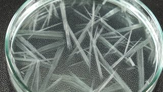 Fast Crystallization Experiment [upl. by Colene]