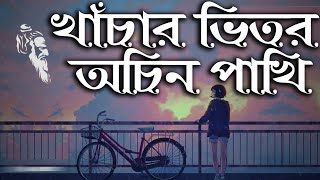 Khachar Vitor Ochin Pakhi lyrics by Konok Chapa of Lalon Shah [upl. by Anerres]