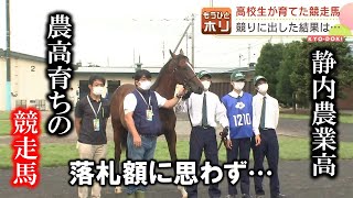 【青春の馬】日本唯一 競走馬を育てる農業高校 生徒育成サラブレッドが競りに！落札額に思わず「まじ？」 もうひとホリ 2022年9月2日放送 [upl. by Yemorej]