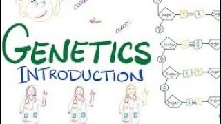 Genetics 04Linkage nd syndrome [upl. by Vocaay]