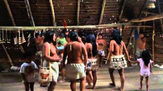 baile de la tribu boras iquitos [upl. by Hermie]