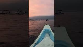 Dolphine Tour in Lovina Bali  Sunrise in North Bali [upl. by Ayoj]