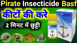 Pirate Insecticide Basf Pirate Insecticide Pirate Basf Bajrang Beej Bhandar [upl. by Merline460]