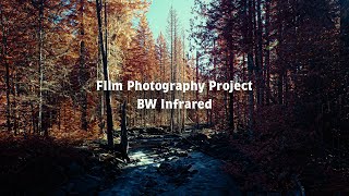 Film Photography Project BW Infrared [upl. by Adlei]