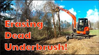 Forestry mulching ERASING DEAD UNDERBRUSH [upl. by Krissy210]