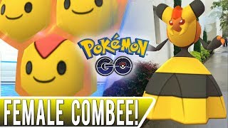 How to Find a FEMALE COMBEE TO EVOLVE VESPIQUEEN in Pokemon GO [upl. by Atikal]