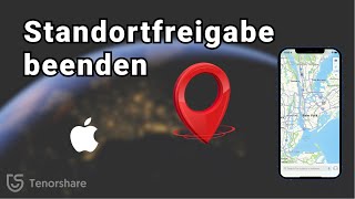 Beenden der Standortfreigabe auf dem iPhone ohne dass sie es merken 2022 [upl. by Melantha466]