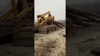 Forestry 🌲 Skidder Pulling Logs in Extreme [upl. by Aisor]