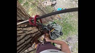 Approach to Creekside Tree Climb and Tyrolean Traverse  Clear Creek Canyon [upl. by Adara]