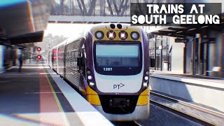 Trains at South Geelong  August 2024 [upl. by Esorlatsyrc688]