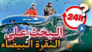 البحث على النقرة البيضاء، في أعماق الأطلسي  معركة السردين  🌊🎣🔥 [upl. by Ferdy]