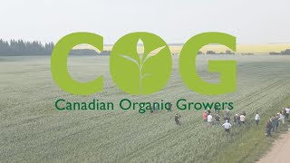 Canadian Organic Growers  Regenerative Organic Oats [upl. by Moorish]