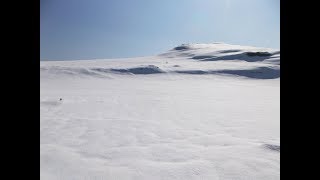 雪の鳥取砂丘を歩く 20180209 Walk on snowy Tottori Sand Dunes [upl. by Nongim]