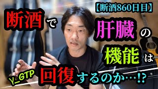 お酒や断酒に関する疑問を集めてみた【後編〜気になる肝機能の話等々。】 [upl. by Adaj498]