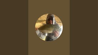 My first live fishing [upl. by Aileek]