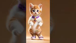 Kamariya dole dole viral cat dance kamariyadole shorts shortsfeed ytshort billiwalacartoon [upl. by Penelopa]