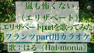 「嵐も怖くない」エリザベートパートを歌ってみた（宝塚ver）（フランツパート用カラオケ）（Nichts ist schwerElisabeth：Only Elisabeth） [upl. by Paten336]