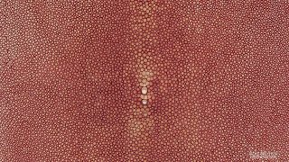 Shagreen Indian Red 9 Inch [upl. by Oeniri]