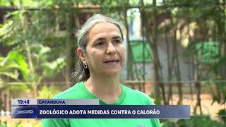 Catanduva Zoológico adota medidas contra o calorão [upl. by Atirma]