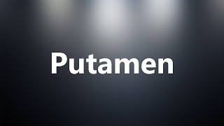 Putamen  Medical Definition and Pronunciation [upl. by Adnawyek280]