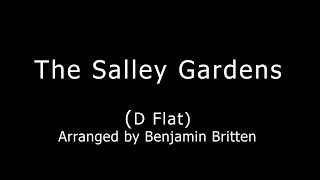 The Salley Gardens [upl. by Sobel]