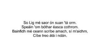 Wake Me Up as Gaeilge Lyrics  TG Lurgan vs Avicii [upl. by Eceinert592]