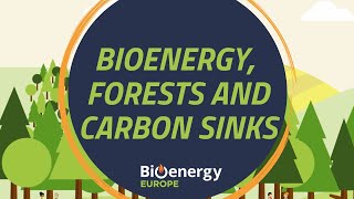 Bioenergy forests and carbon sinks  Bioenergy explained [upl. by Barthel974]