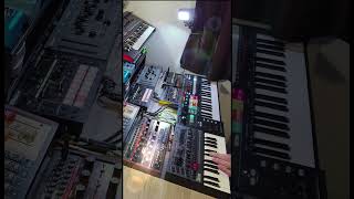 Behringer Grind  Solina  JD800  SH101  Roland P6 Sampler synthwave synthpop music [upl. by Mailli]