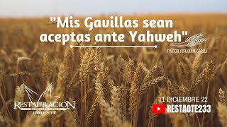 quotMis Gavillas sean aceptas ante Yahwehquot [upl. by Fredra]