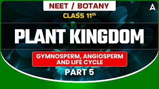 𝐏𝐋𝐀𝐍𝐓 𝐊𝐈𝐍𝐆𝐃𝐎𝐌 𝐂𝐋𝐀𝐒𝐒 𝟏𝟏  BOTANY GYMNOSPERM ANGIOSPERM AND LIFE CYCLE  NEET SANJEEVANI BATCH [upl. by Bauer]