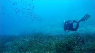 Scuba Diving in Vela Luka Korcula Island Croatia Divesite quotAquariumquot with Croatia Divers [upl. by Nylesaj]