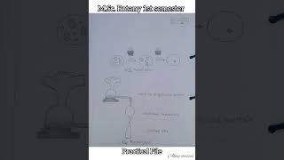 MSc Botany Practical File 1st sem  Biodiversity of Algae and Fungi  HPU botanynotes [upl. by Ijok]