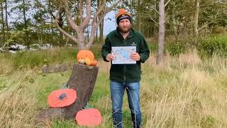 Pumpkin Trail at Druridge Bay Country Park [upl. by Crowe]