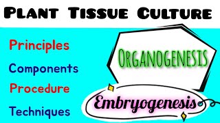 Plant Tissue Culture  Principle components  techniques  Embryogenesis  Organogenesis [upl. by Barkley229]