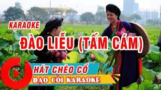 ĐÀO LIỄU TẤM CÁM KARAOKE CHÈO CỔ [upl. by Nivrac]